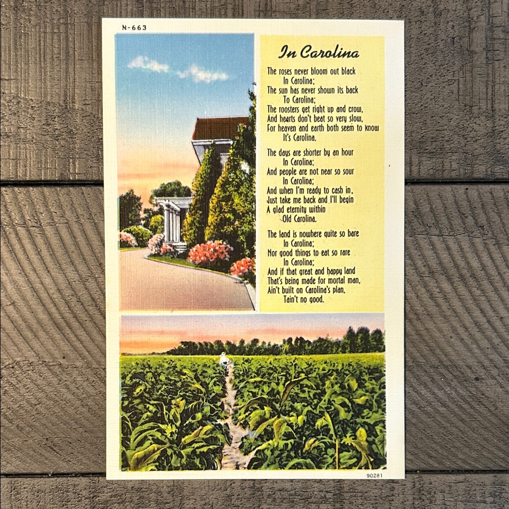 Vintage 'In Carolina' Linen Postcard